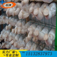 小型工廠恒溫菇房出菇架 食用菌網(wǎng)格網(wǎng)架 蘑菇種植架廠家